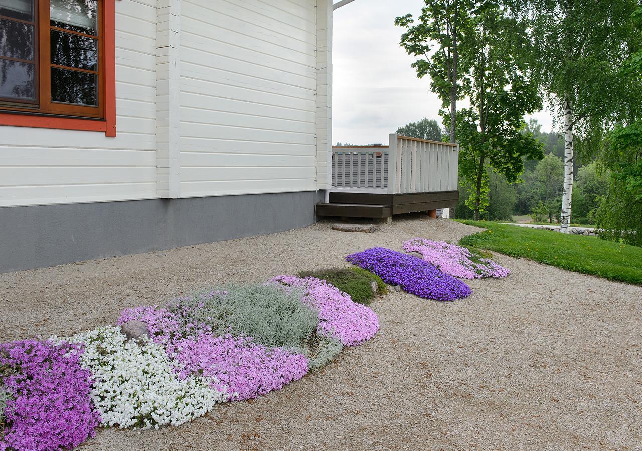 Vasekoja Holiday Center Vahtseliina ภายนอก รูปภาพ